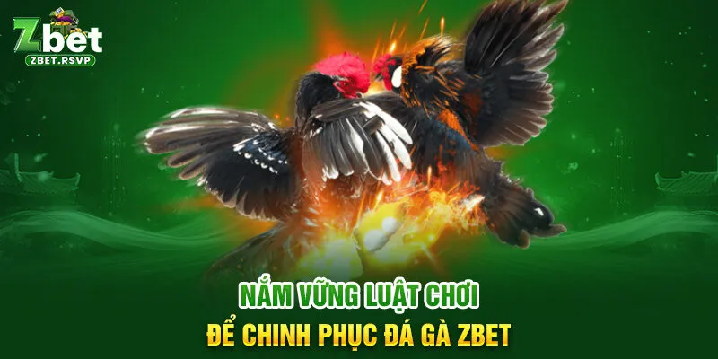 Nắm vững luật chơi để chinh phục đá gà ZBET